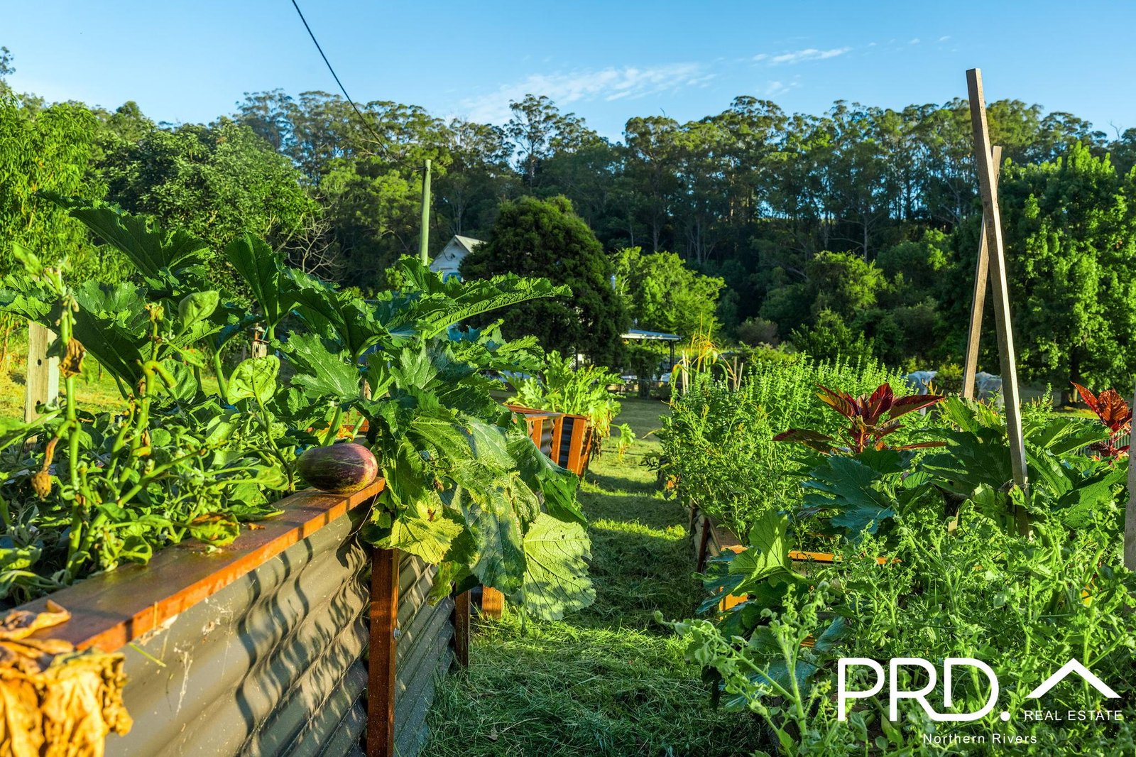 165 Afterlee Road, Horsestation Creek via  KYOGLE 28