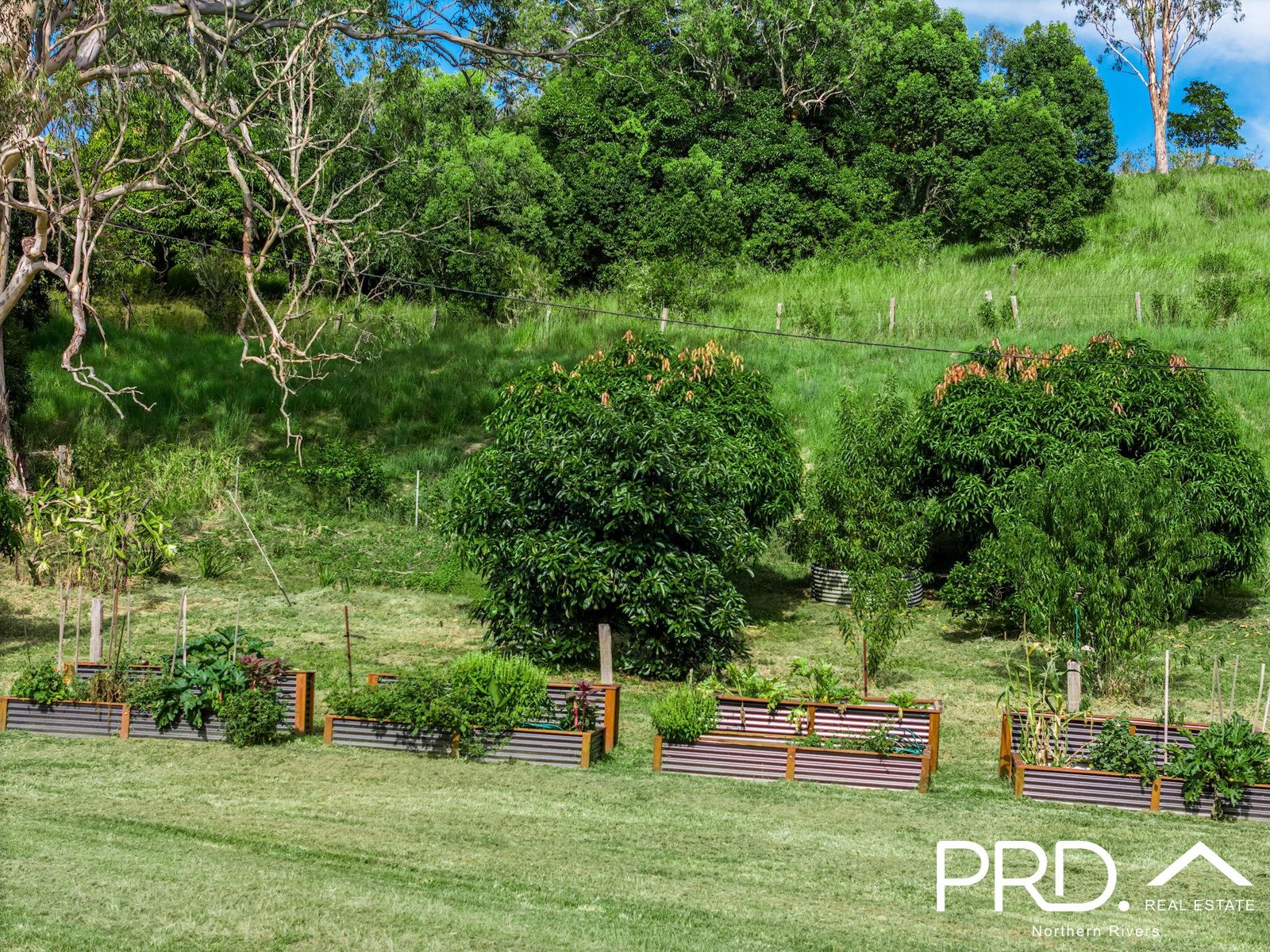 165 Afterlee Road, Horsestation Creek via  KYOGLE 29