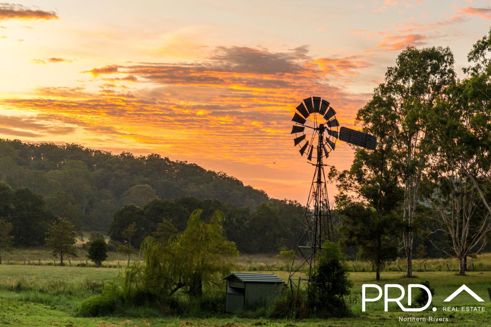 165 Afterlee Road, Horsestation Creek via  KYOGLE 35