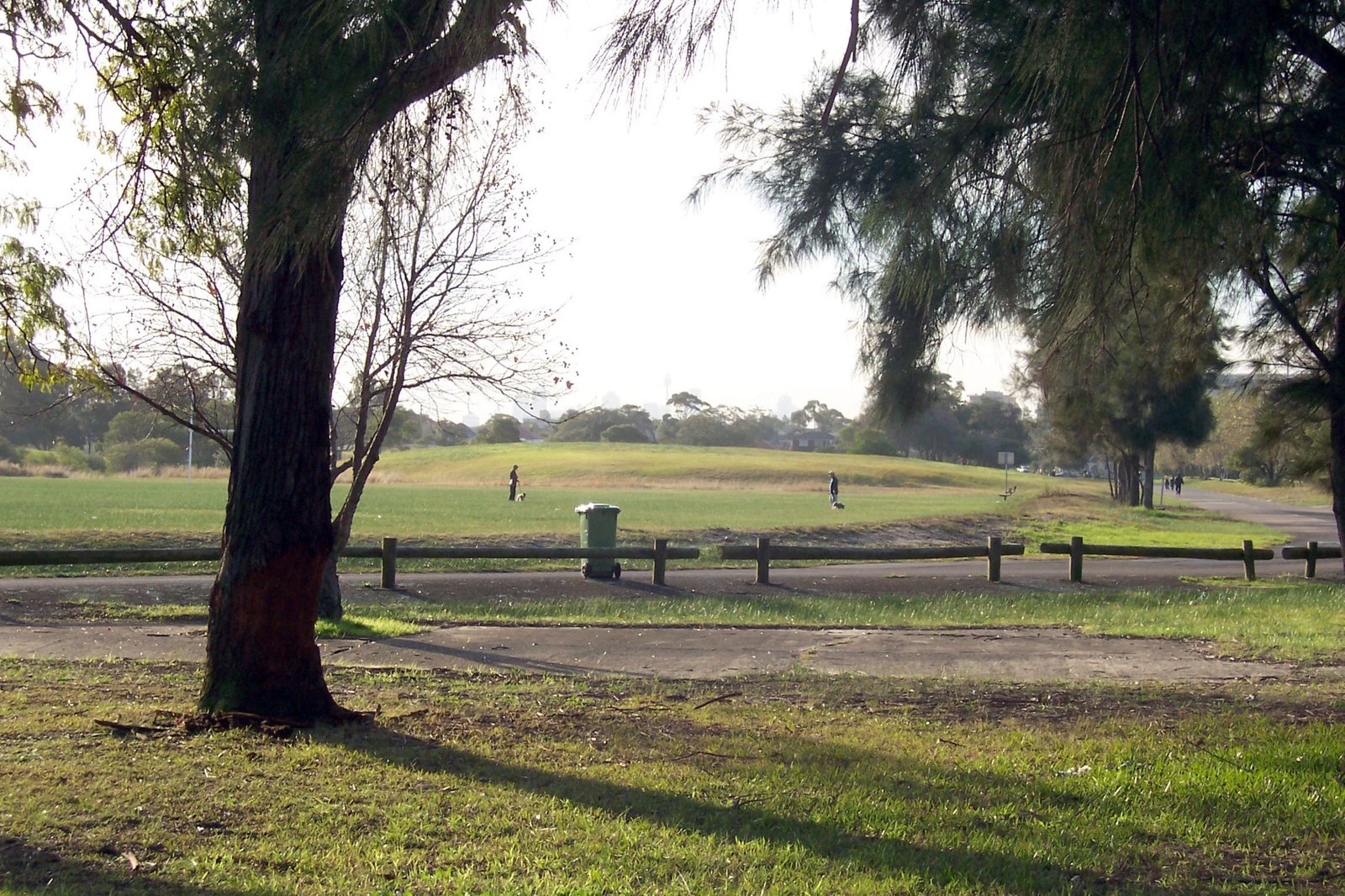 165 Beauchamp Road MATRAVILLE 19