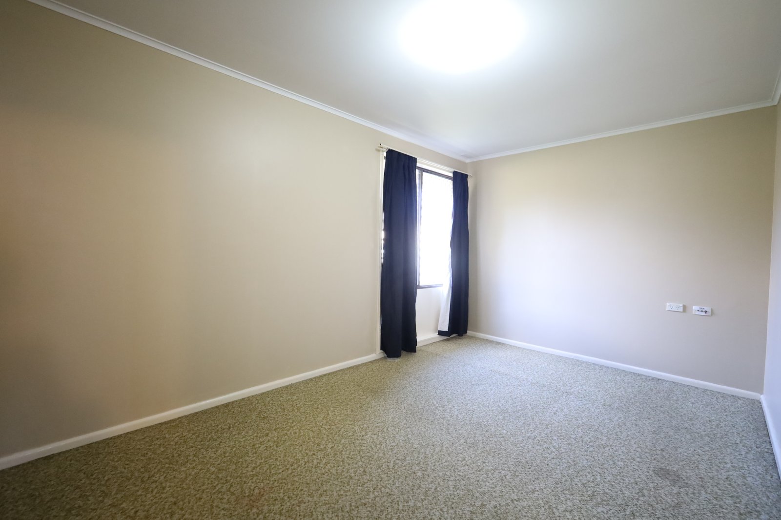 165 Spring Street ORANGE 4