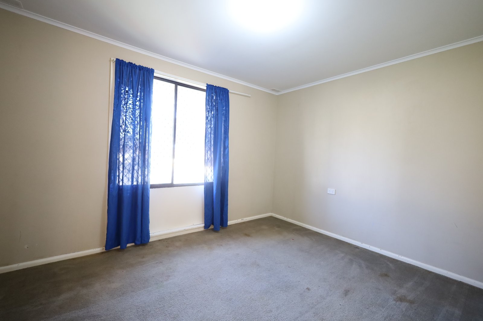 165 Spring Street ORANGE 5