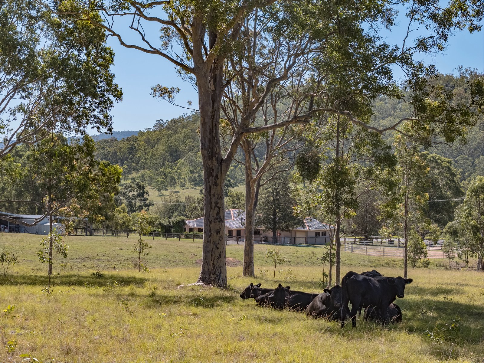 1657 Maitland Vale Road LAMBS VALLEY 13