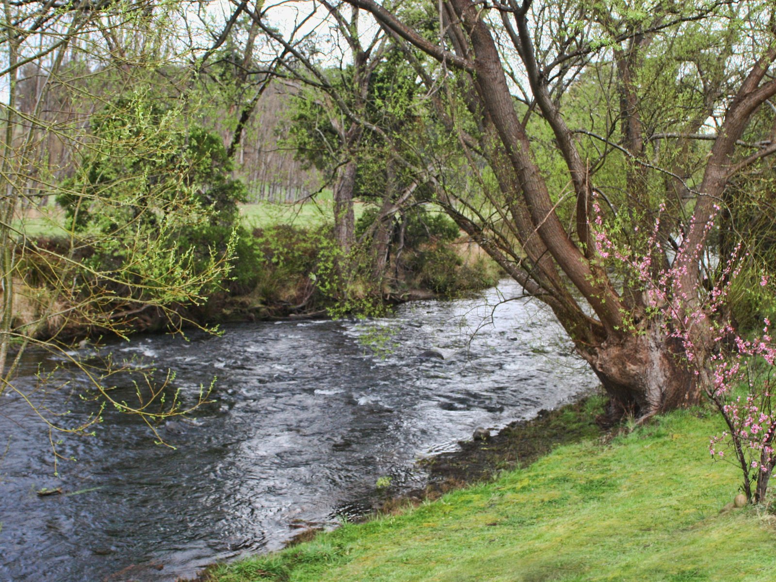 1658 Gordon River Road WESTERWAY 12