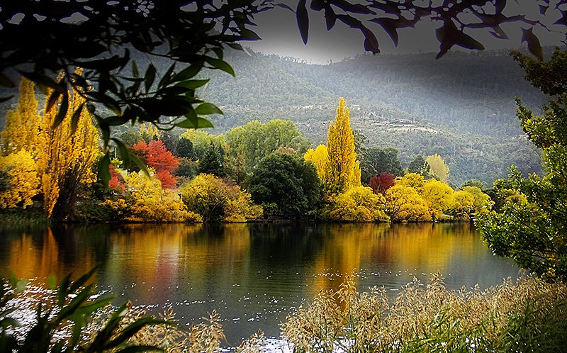 1658 Gordon River Road WESTERWAY 16