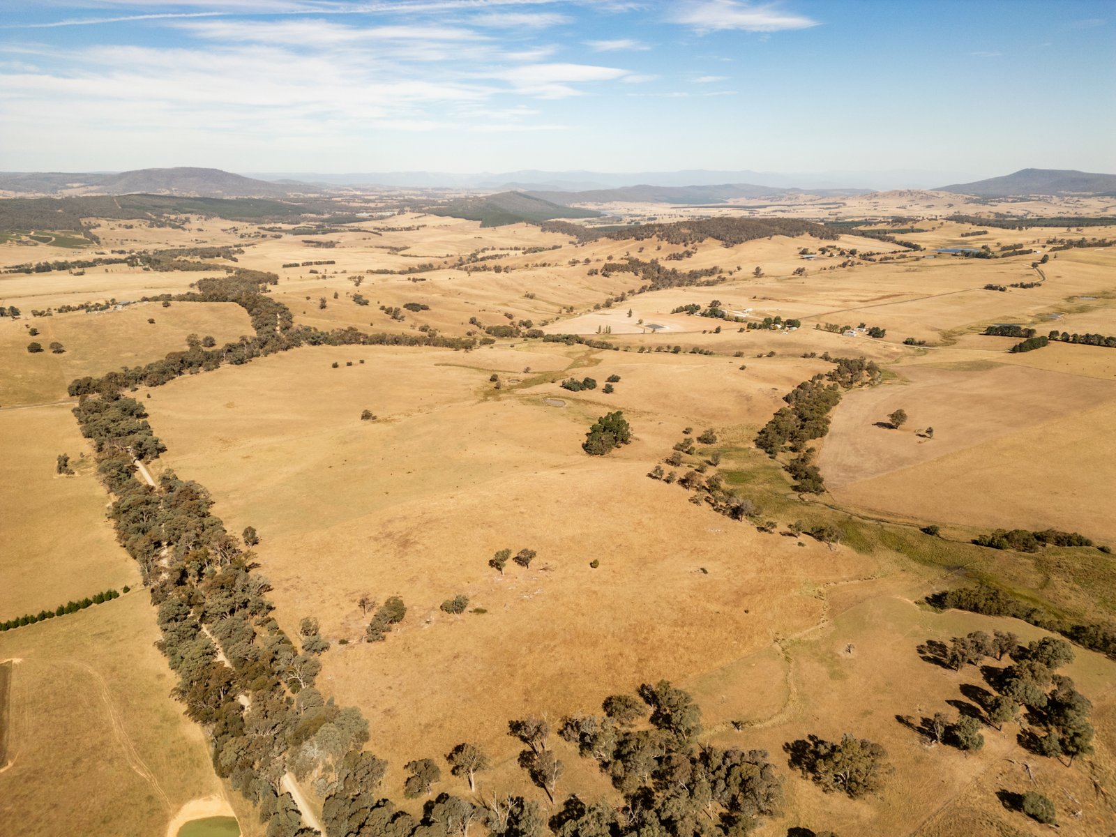 166 Glenroy Lake Road TUMBARUMBA 2