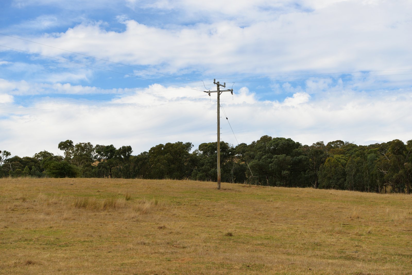 166 Glenroy Lake Road TUMBARUMBA 8