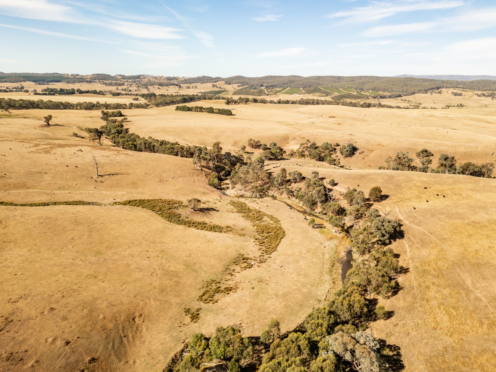 166 Glenroy Lake Road TUMBARUMBA 9
