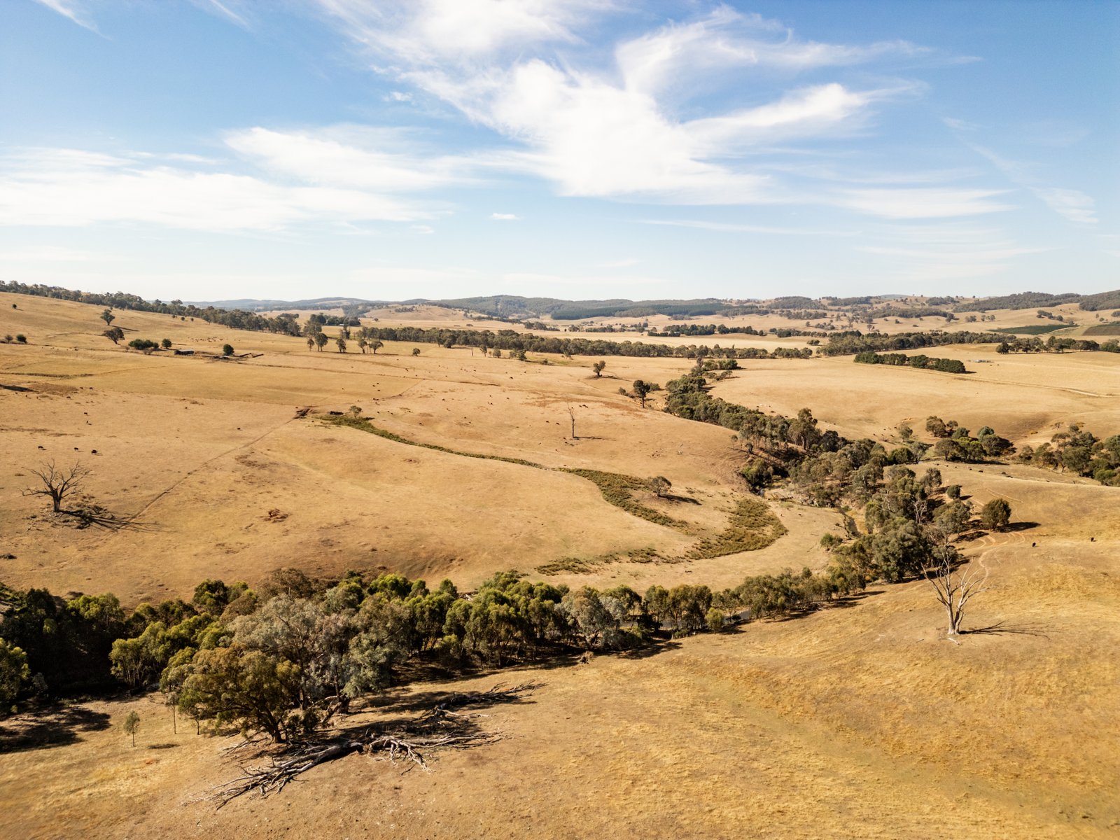166 Glenroy Lake Road TUMBARUMBA 10
