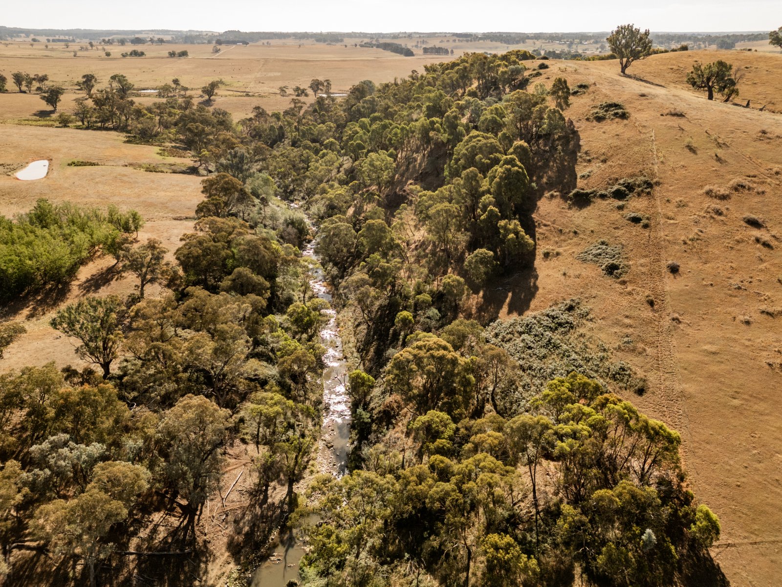 166 Glenroy Lake Road TUMBARUMBA 11