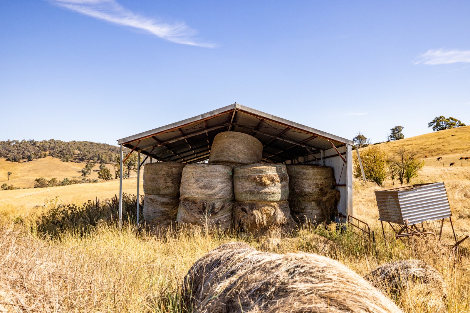 166 Glenroy Lake Road TUMBARUMBA 14