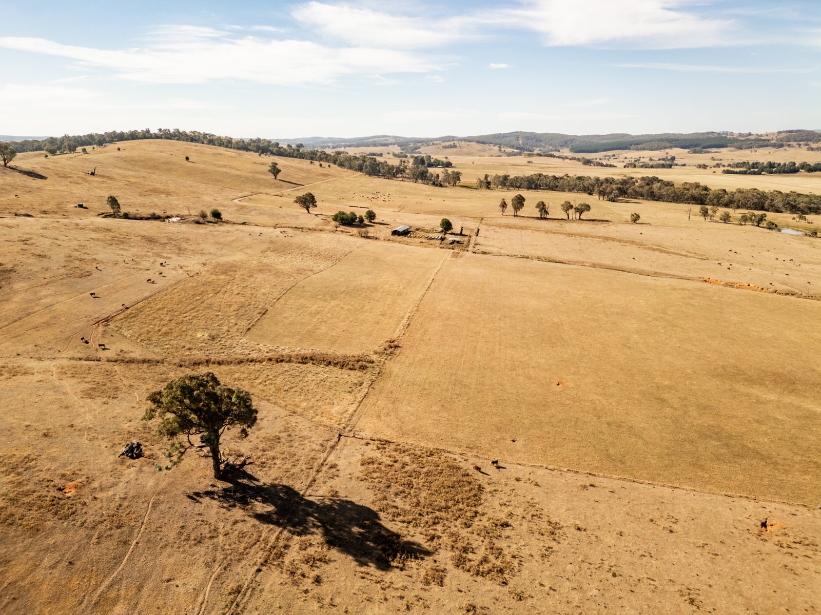 166 Glenroy Lake Road TUMBARUMBA 17