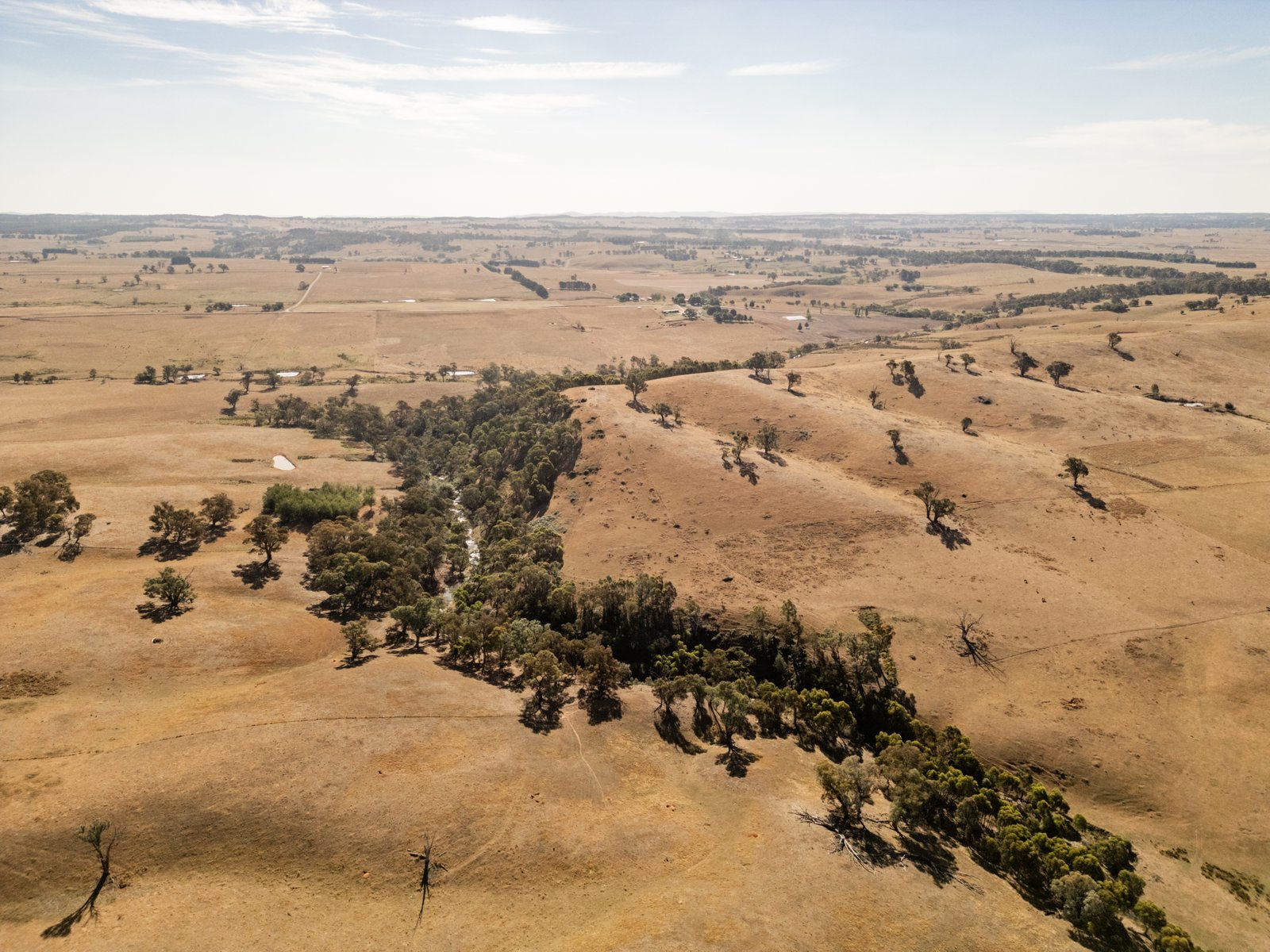 166 Glenroy Lake Road TUMBARUMBA 18
