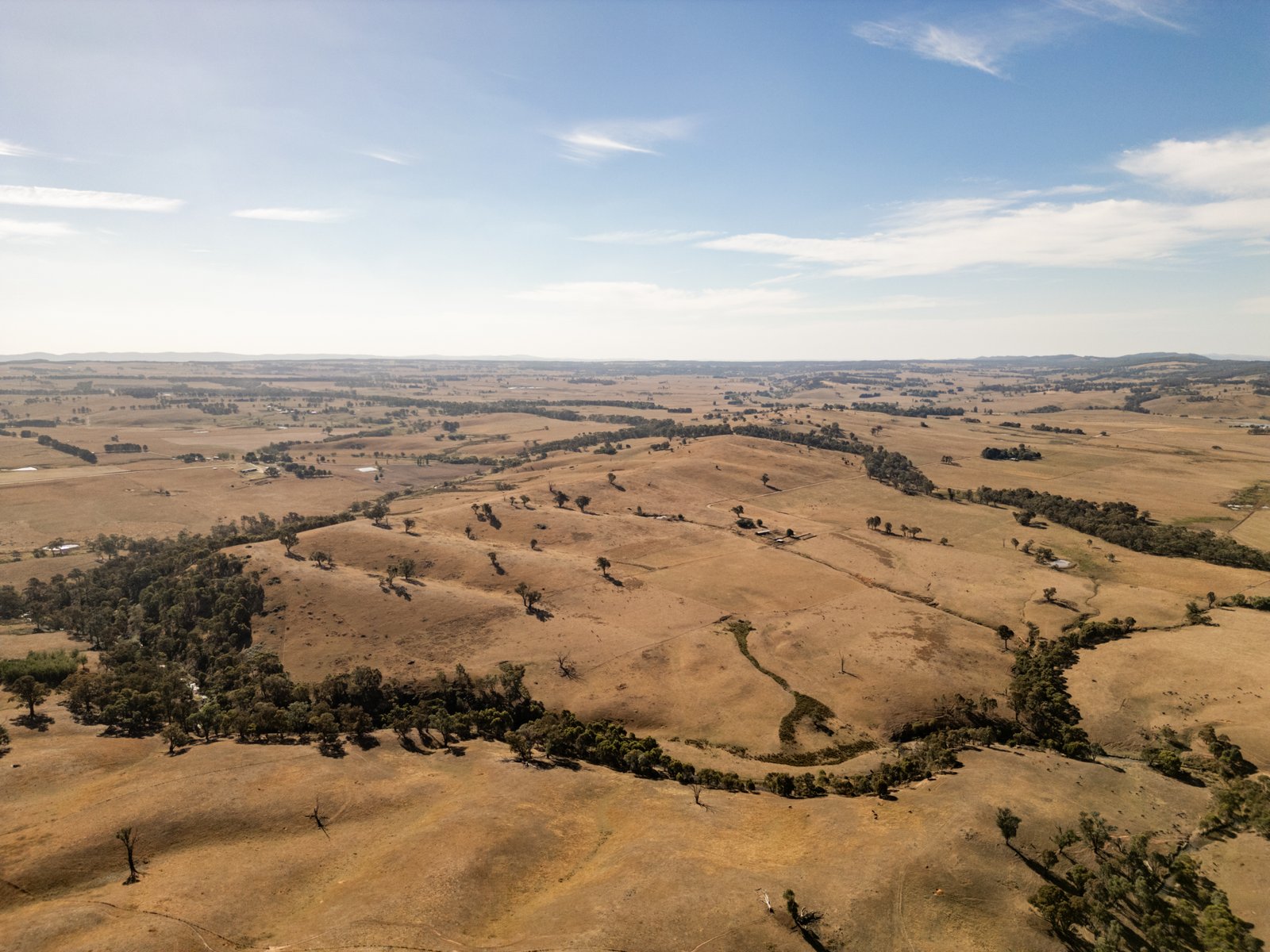 166 Glenroy Lake Road TUMBARUMBA 19