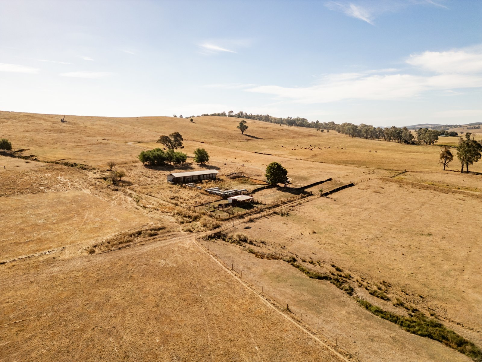 166 Glenroy Lake Road TUMBARUMBA 21