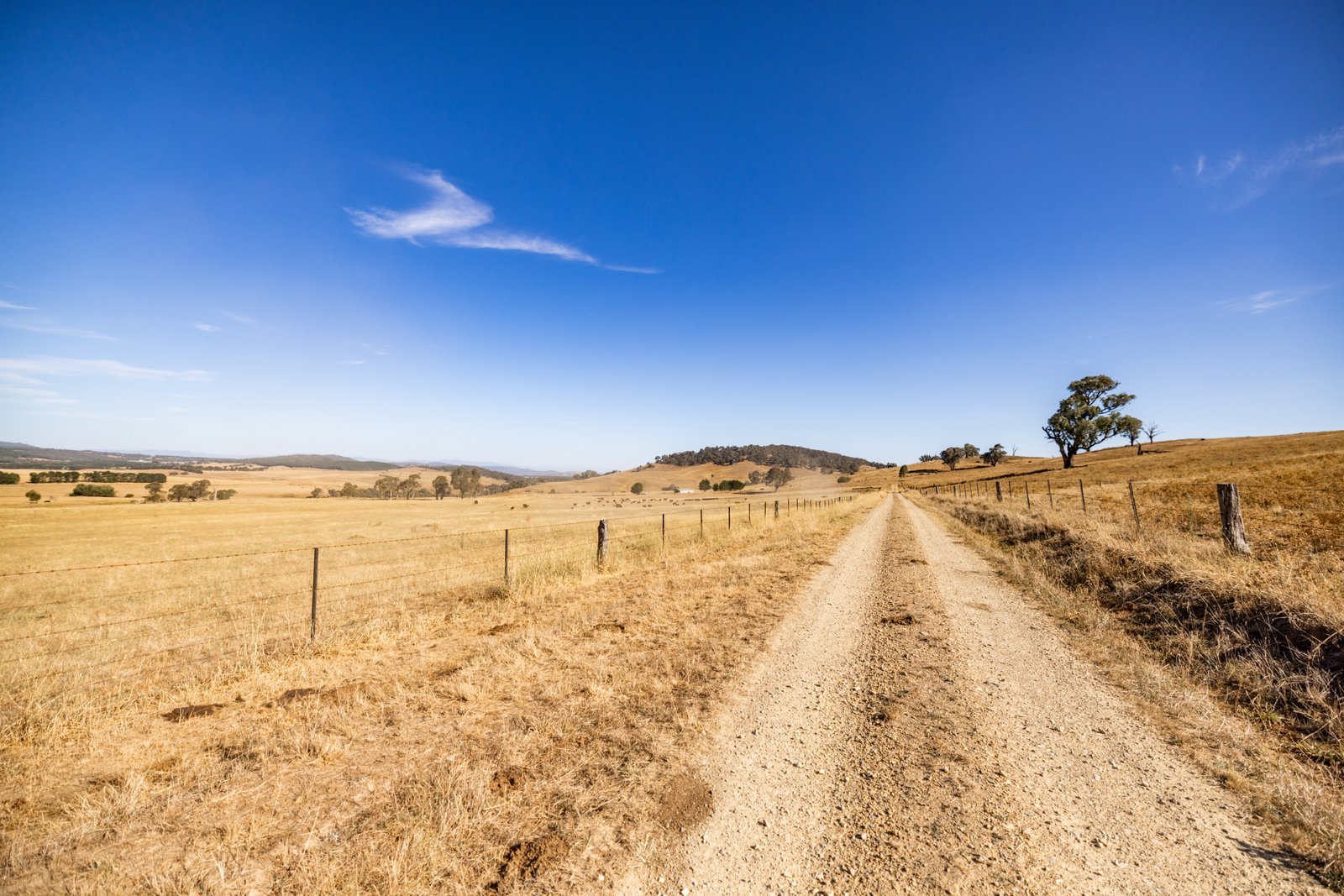 166 Glenroy Lake Road TUMBARUMBA 23