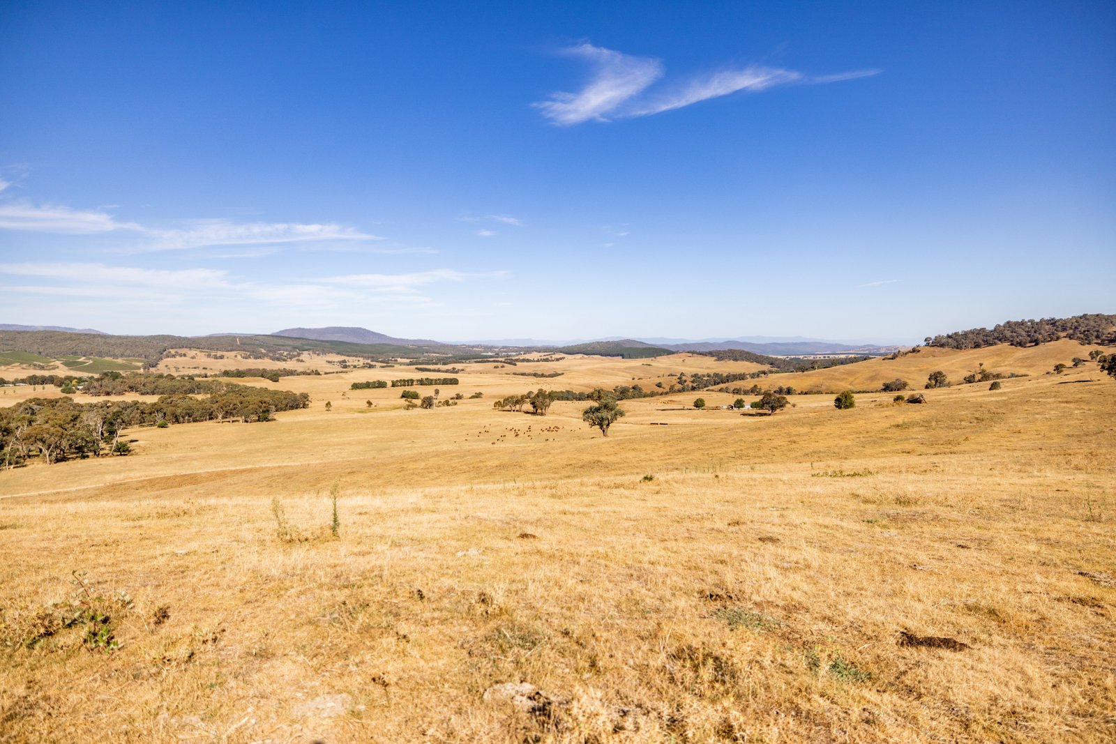 166 Glenroy Lake Road TUMBARUMBA 24