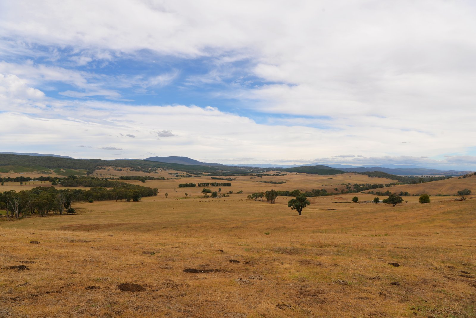 166 Glenroy Lake Road TUMBARUMBA 27