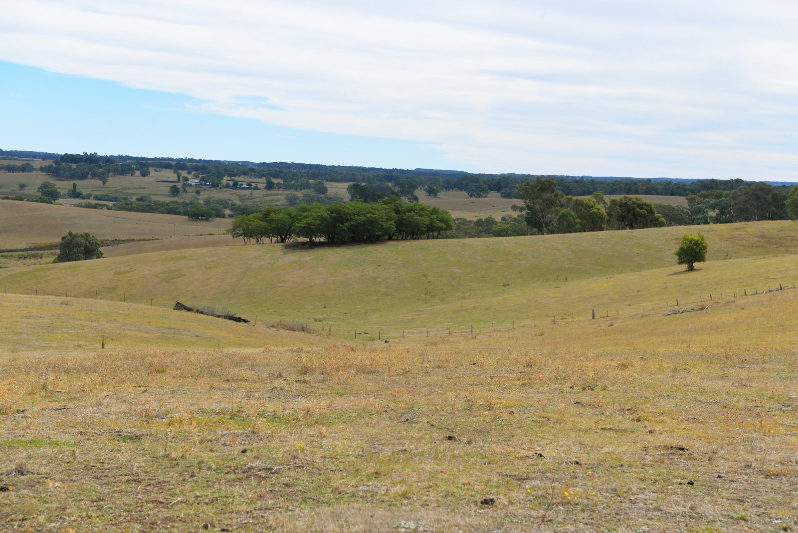 166 Glenroy Lake Road TUMBARUMBA 28