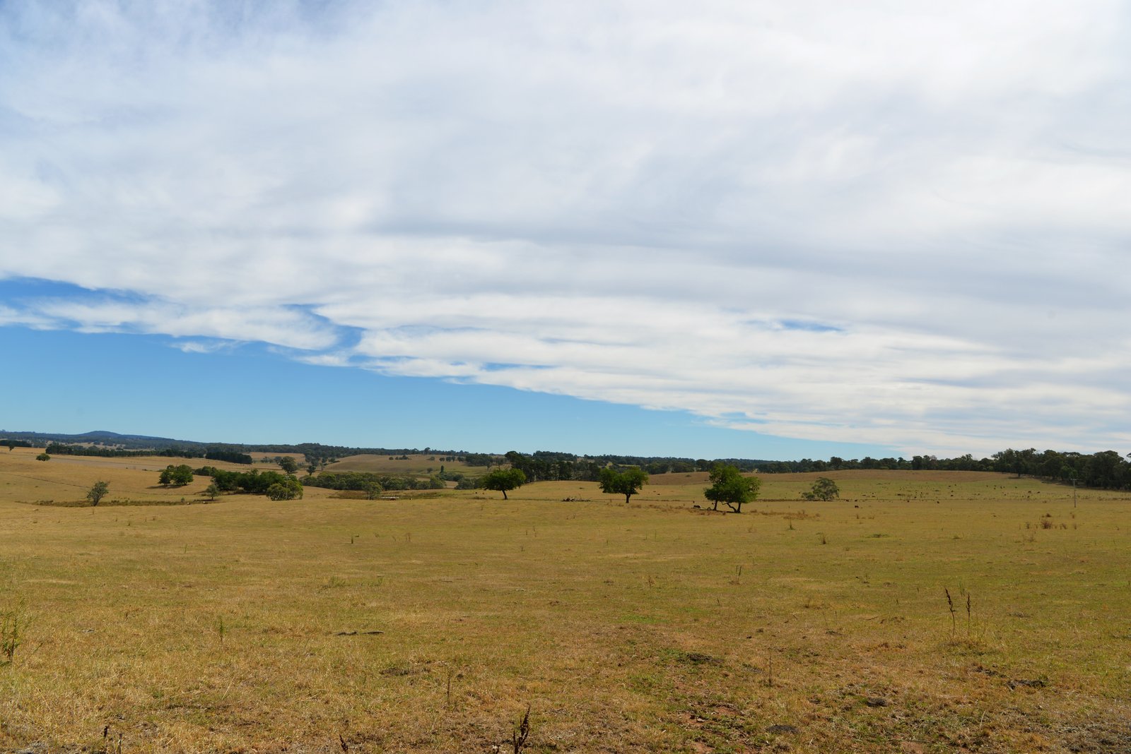 166 Glenroy Lake Road TUMBARUMBA 30