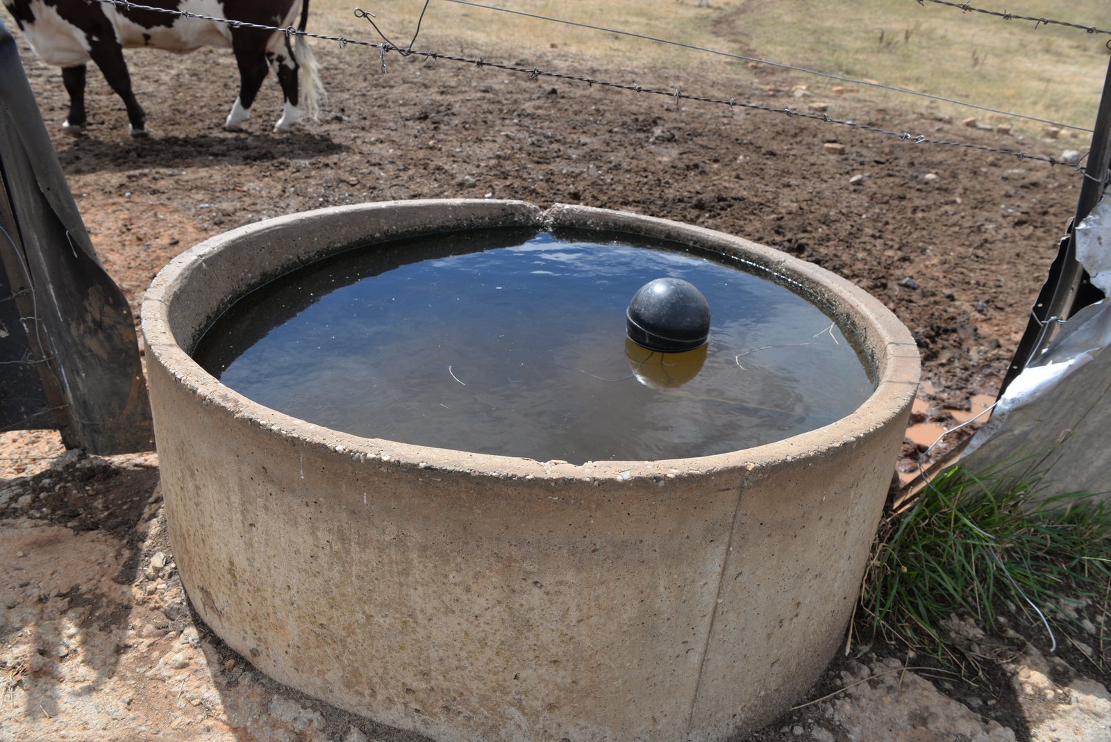 166 Glenroy Lake Road TUMBARUMBA 34