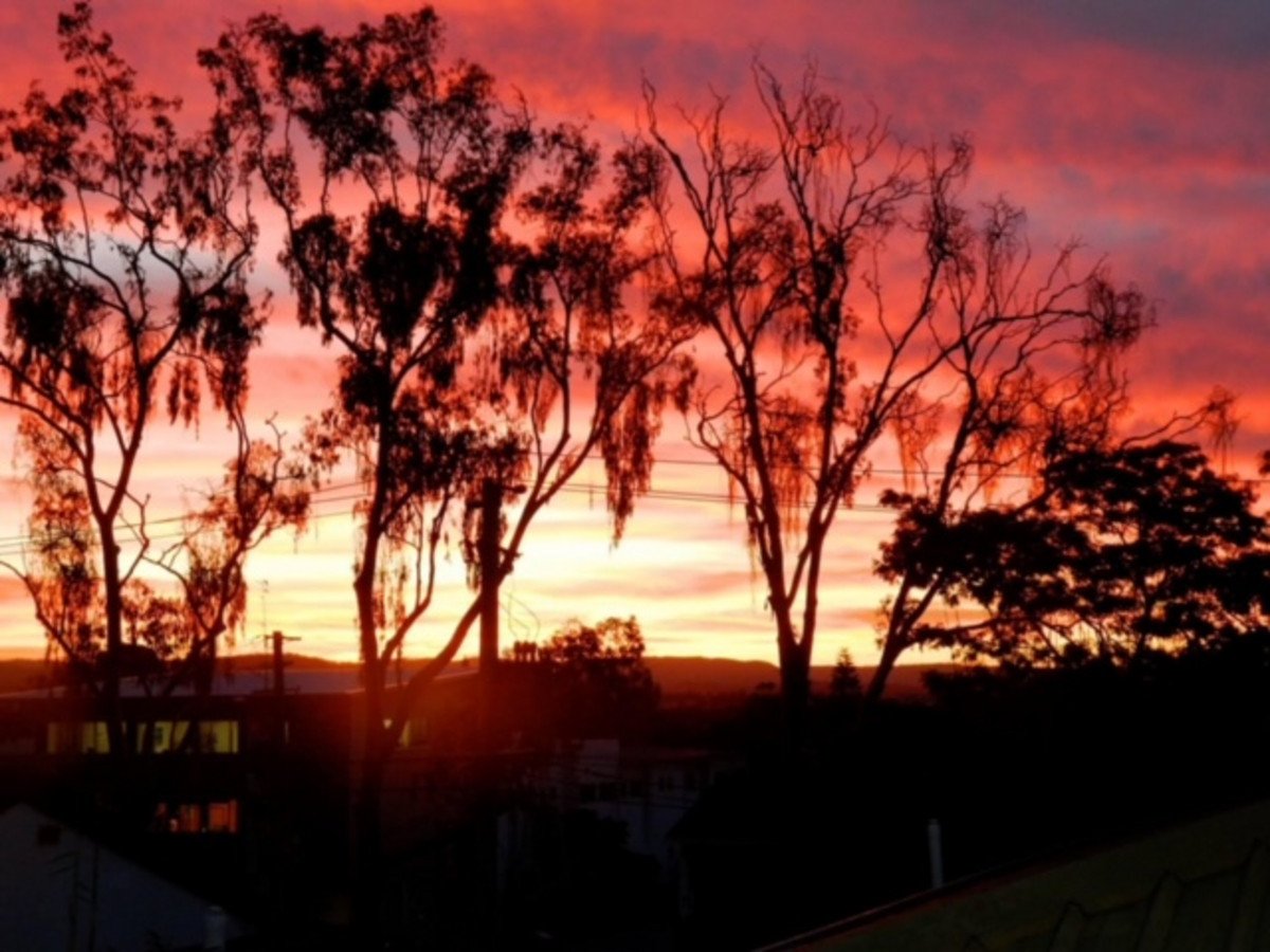 1/66 West Burleigh Road Burleigh Heads 17