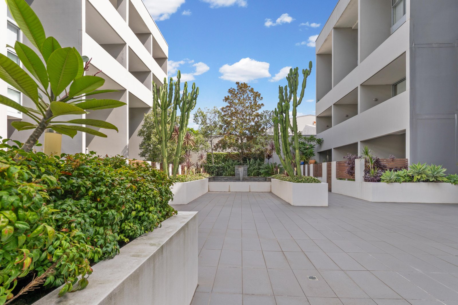 16/654 Botany Road ALEXANDRIA 10