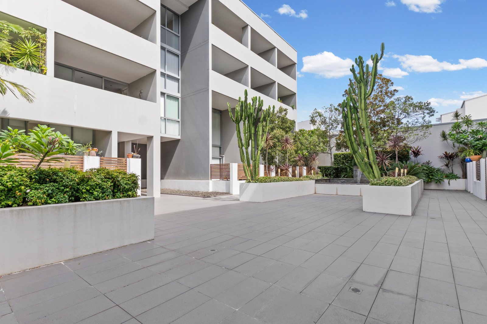 16/654 Botany Road ALEXANDRIA 11