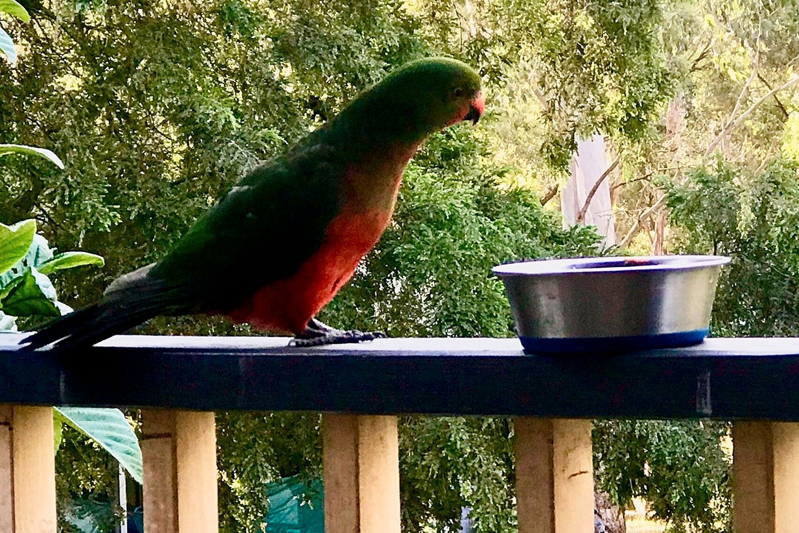 Real Estate and Property in 1666 Mount Macedon Road, Woodend, VIC