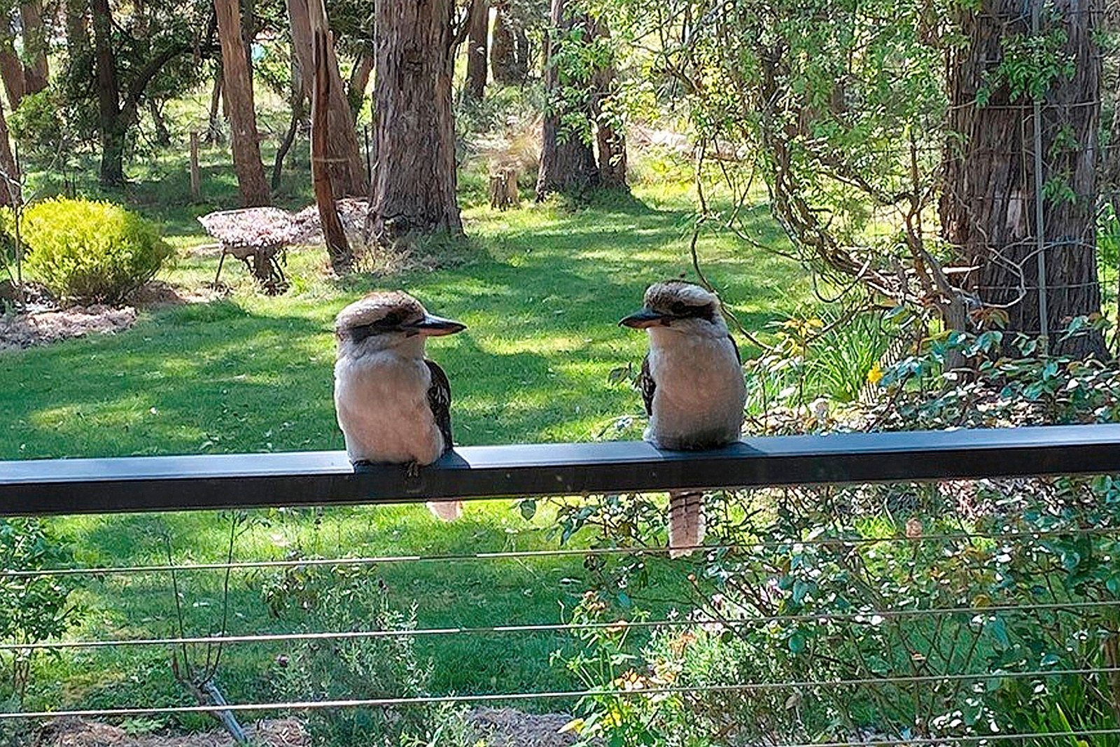 Real Estate and Property in 1666 Mount Macedon Road, Woodend, VIC