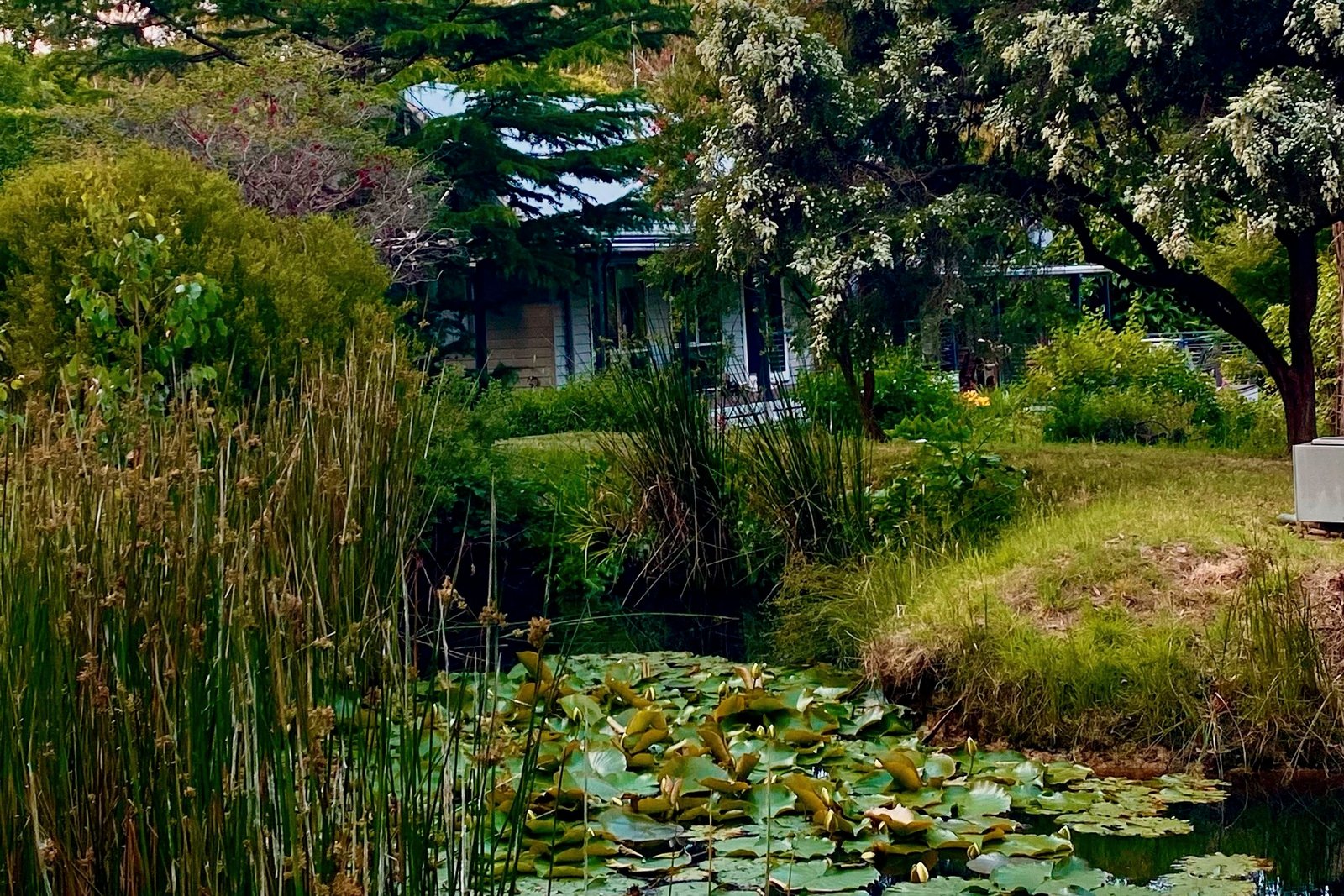 Real Estate and Property in 1666 Mount Macedon Road, Woodend, VIC