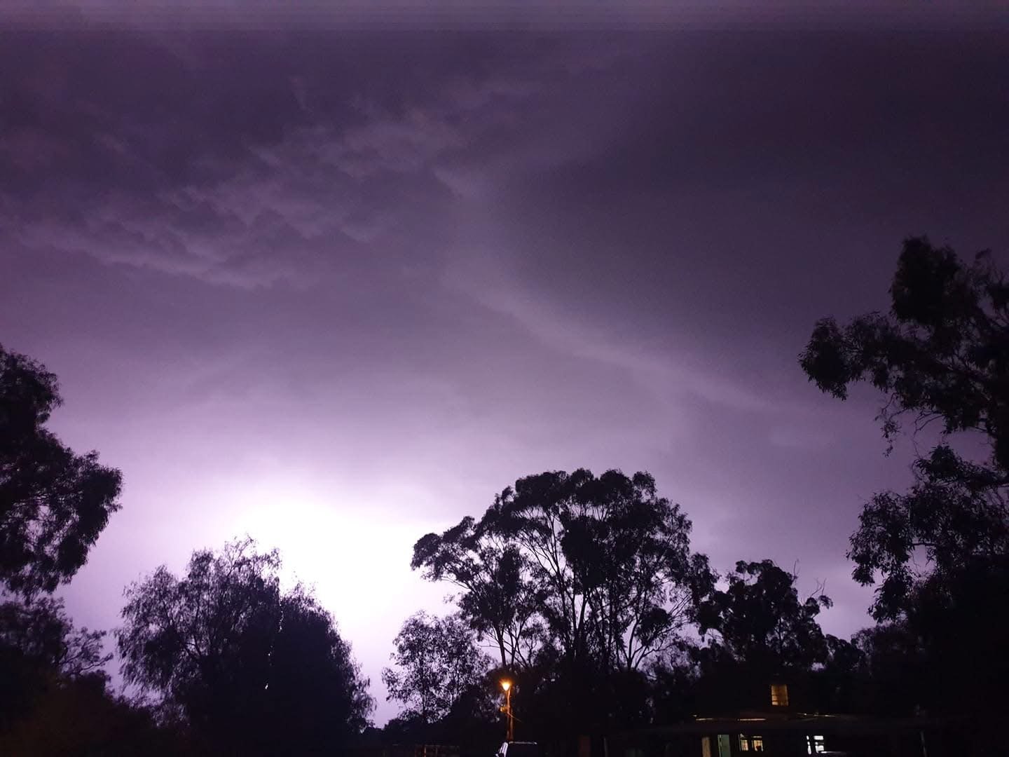 1669 Dingee Road DIGGORA 34