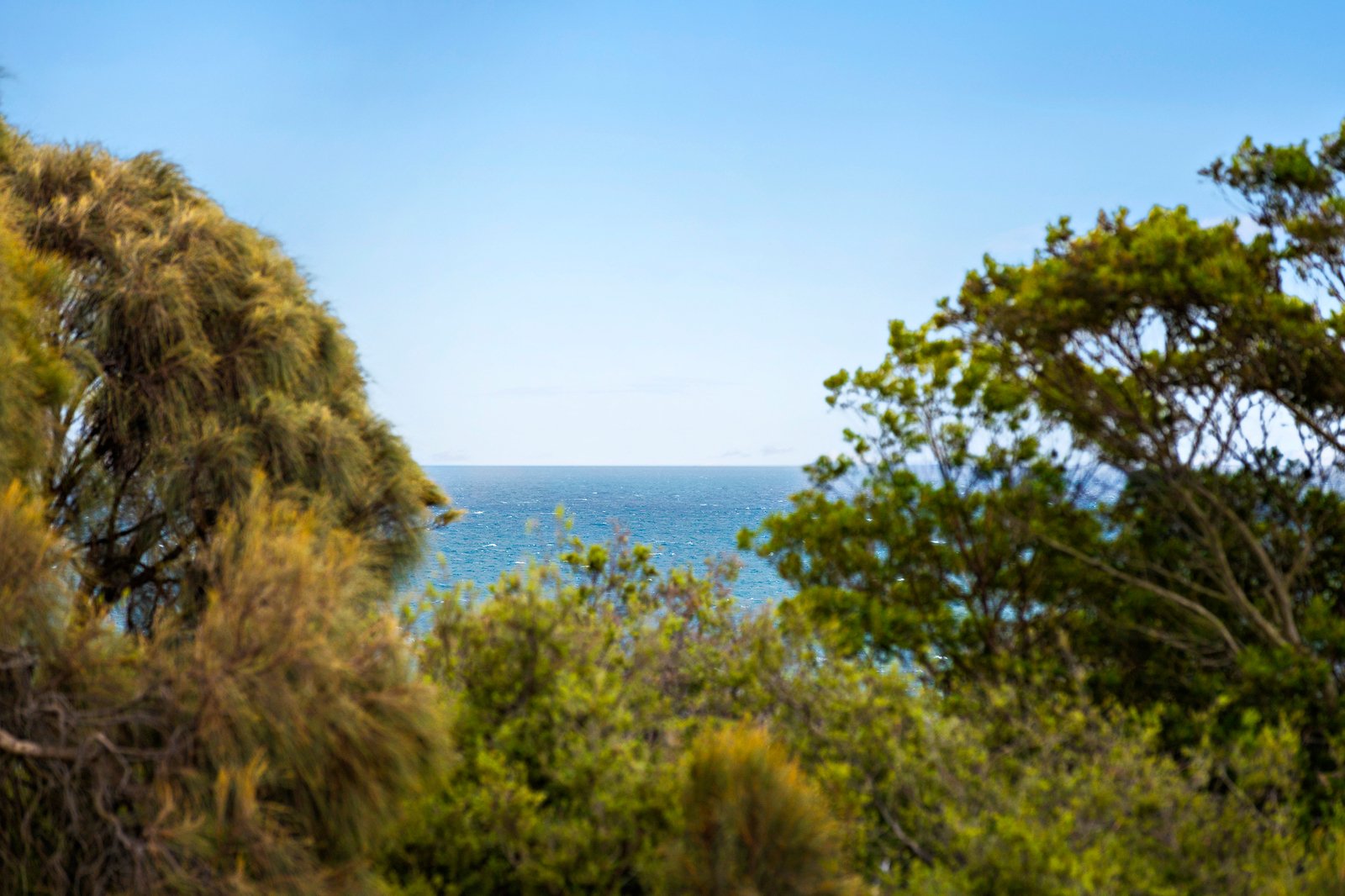 1/669 Esplanade, Mornington, 3931