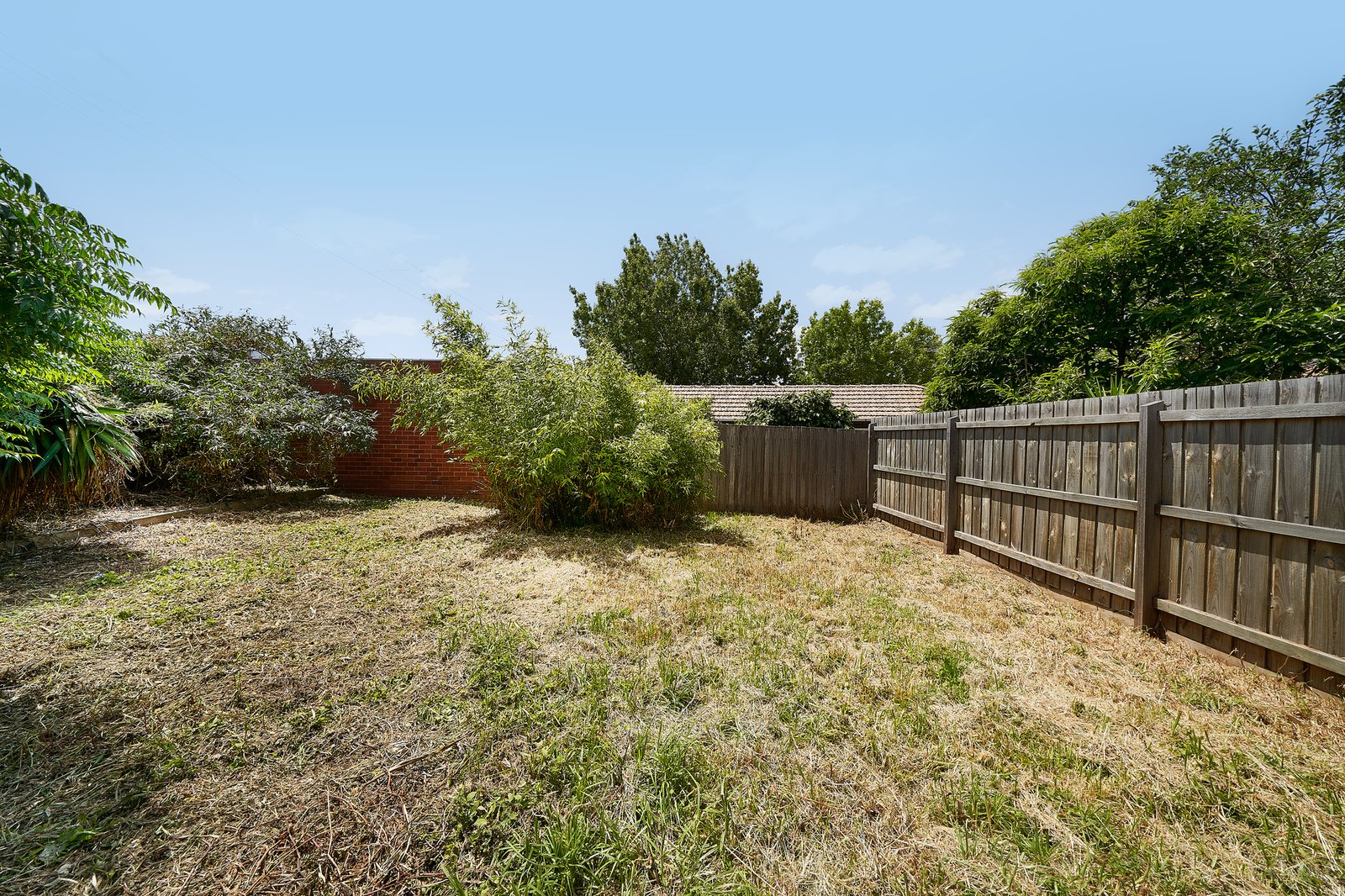 Real Estate and Property in 167 Alma Road, St Kilda East, VIC