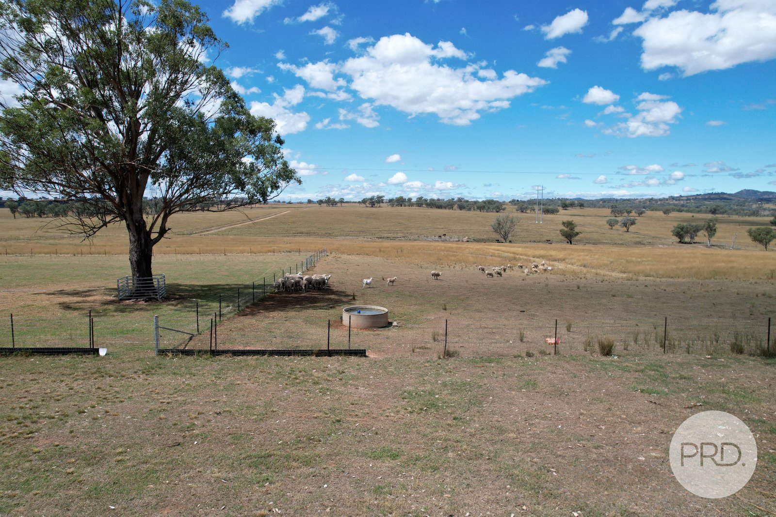 167 Ascot-Calala Road TAMWORTH 22