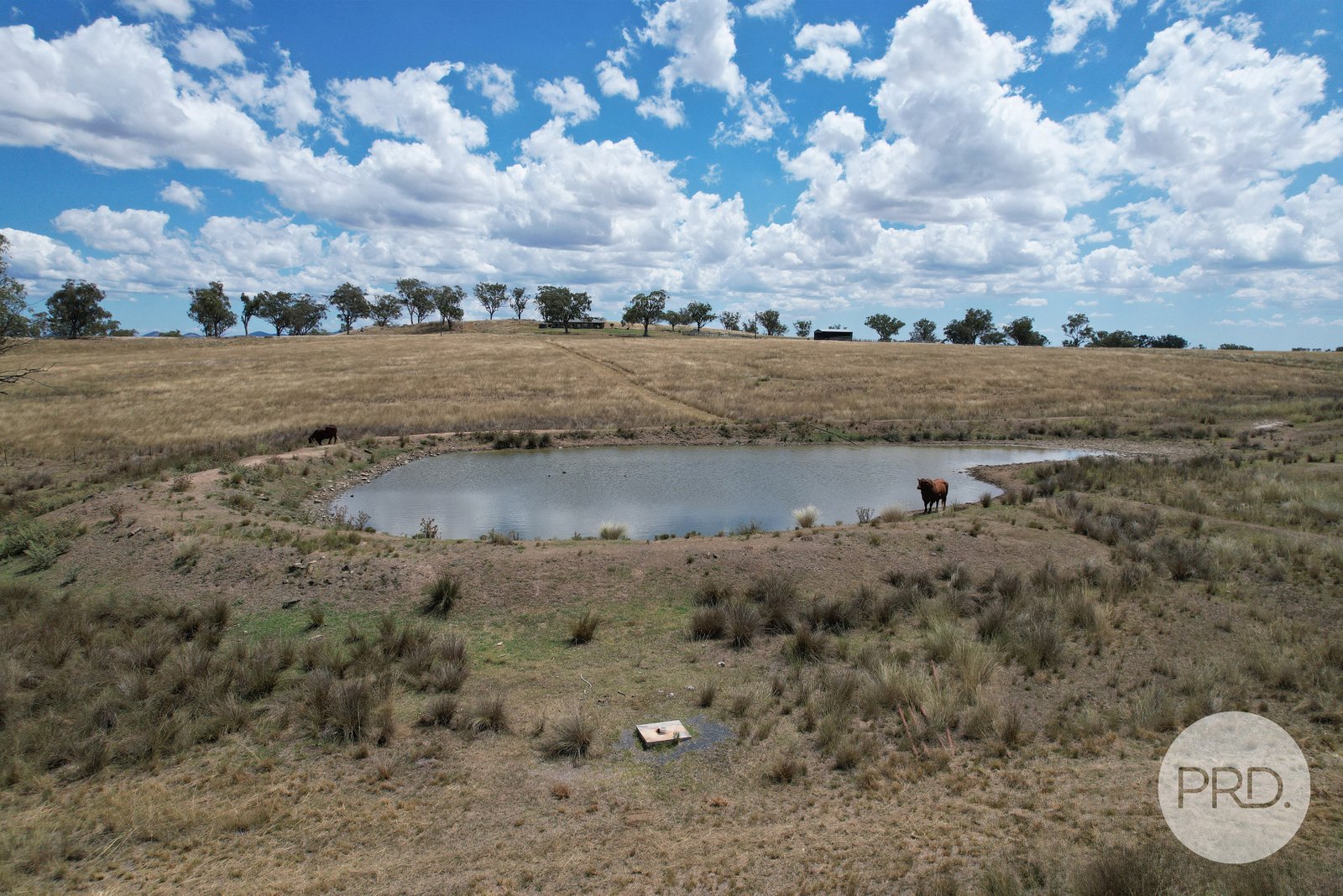 167 Ascot-Calala Road TAMWORTH 24