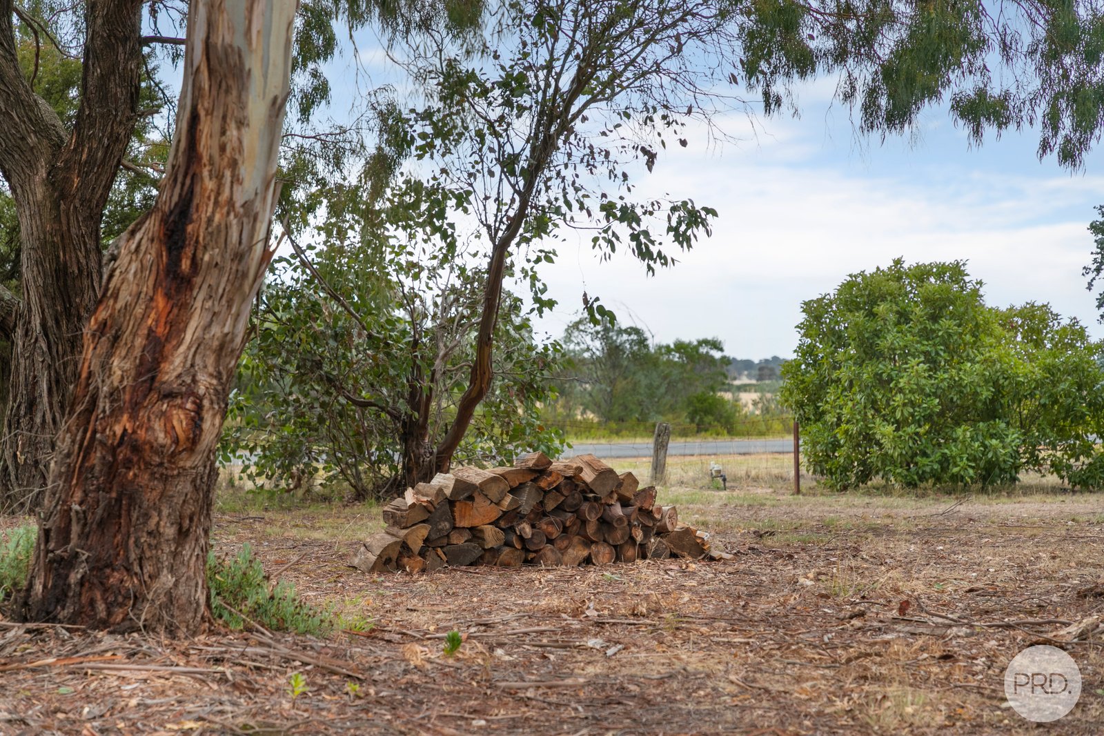 167 Haddon School Road HADDON 19