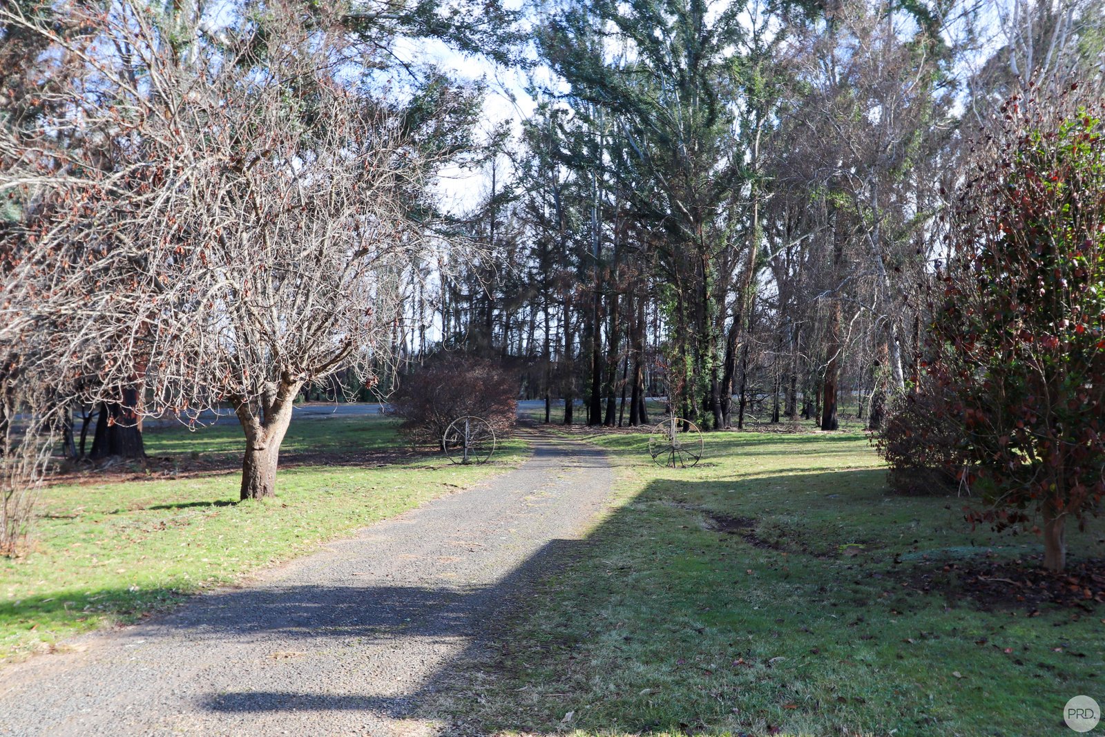 1670 Batlow Rd  TUMBARUMBA 14
