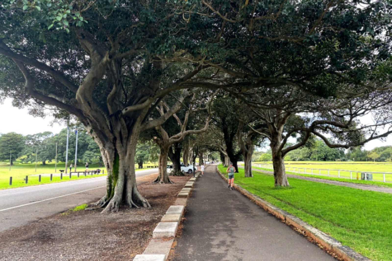 16/73-75 Doncaster Avenue KENSINGTON 13