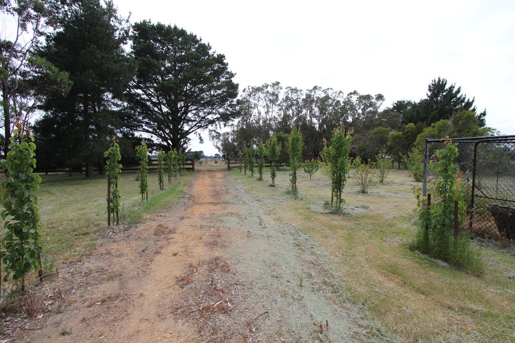 1673 Bamganie Road ELAINE 23