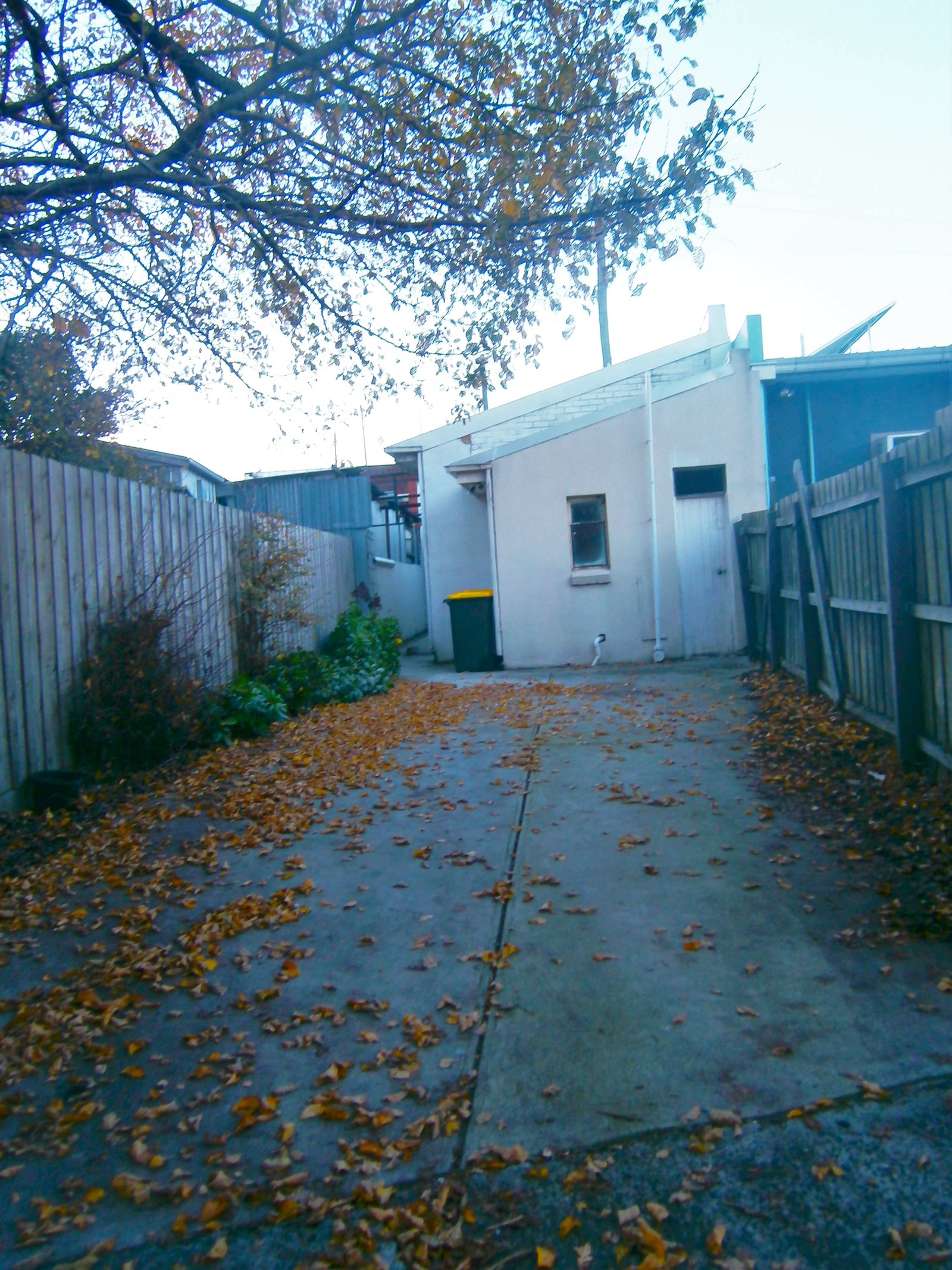 Gallery: 167A East Boundary Road