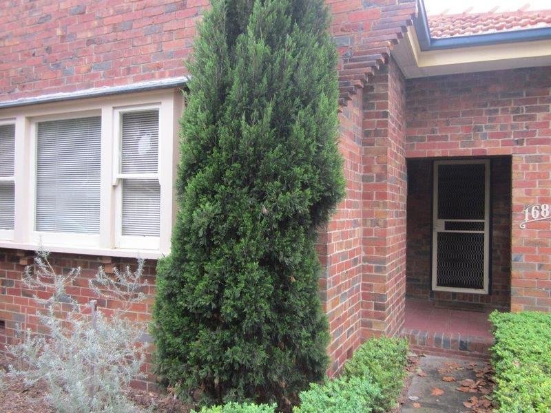 Gallery: 168 Liardet Street