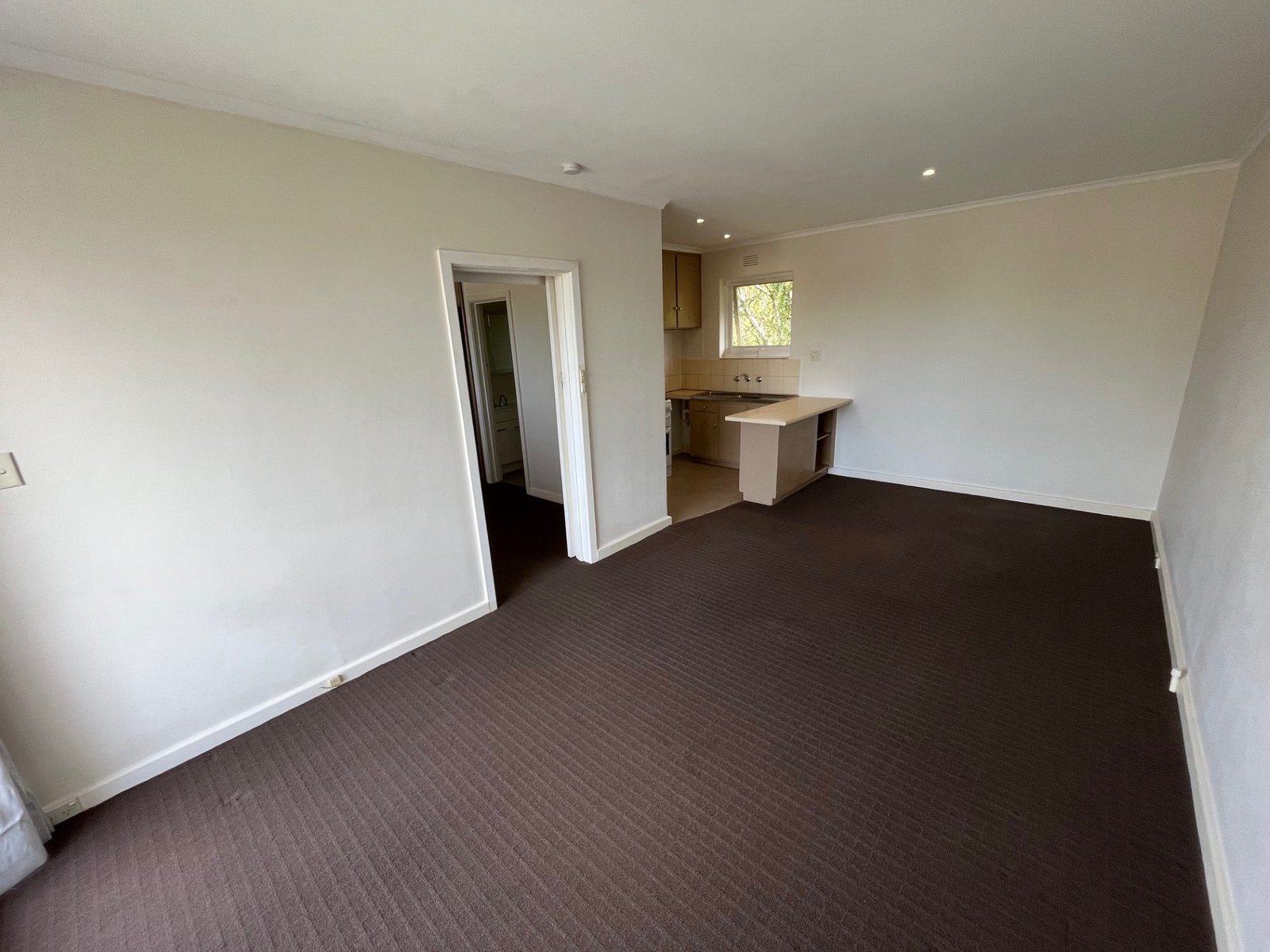 Gallery: 16/9 Ascot Street
