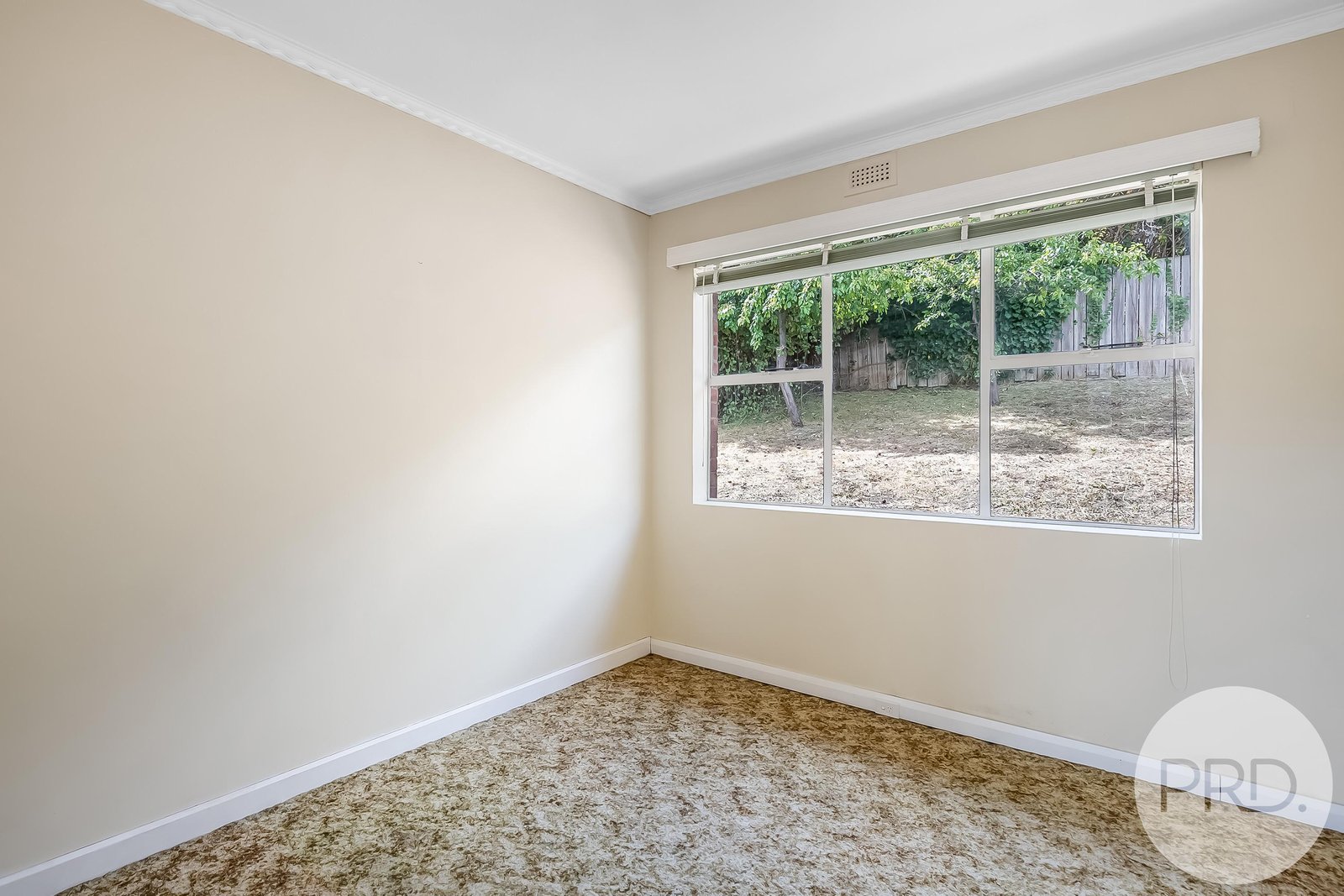 169 Brooker Avenue GLEBE 8