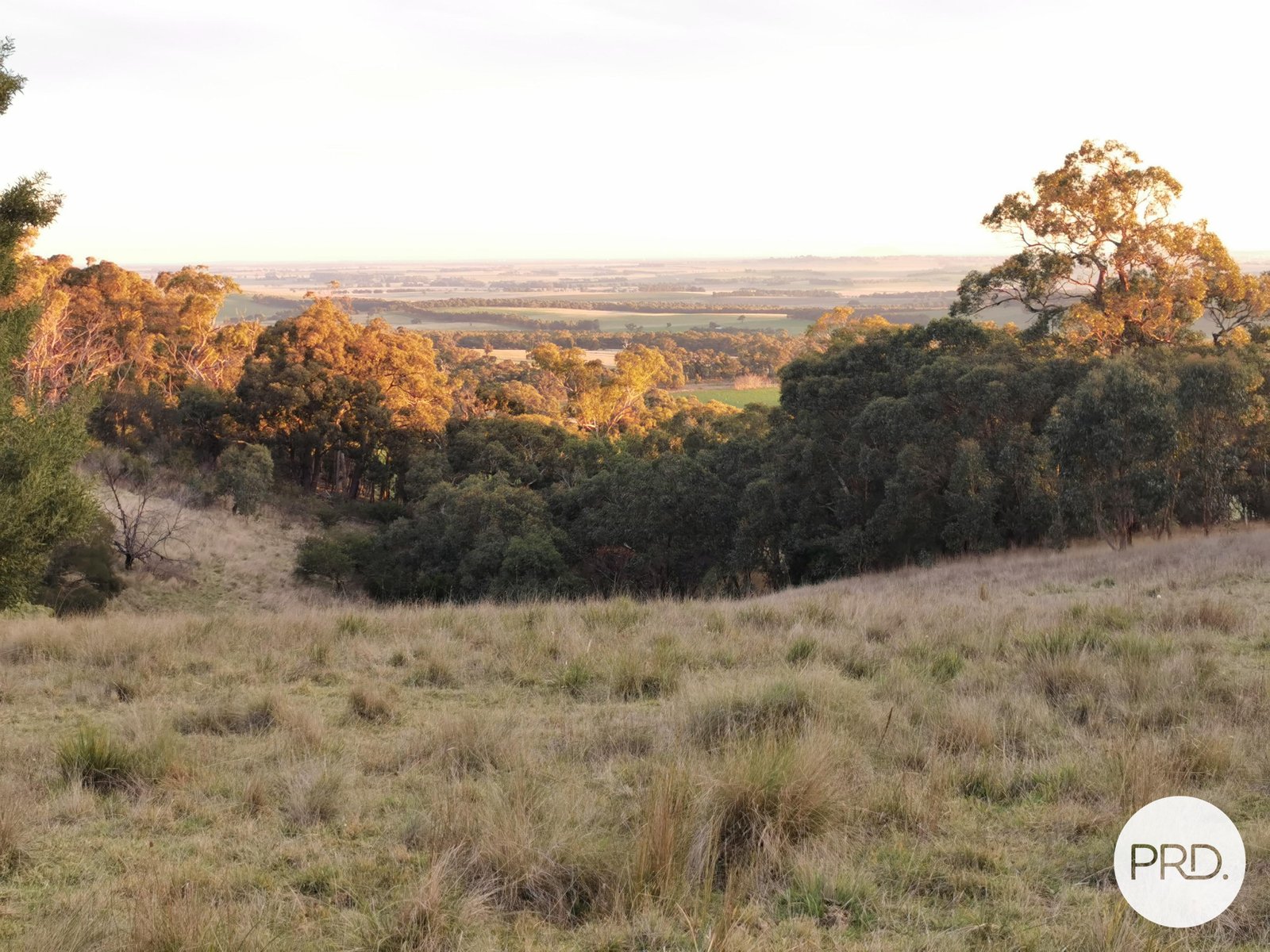 169 Flagstaff Ridge Road LINTON 1