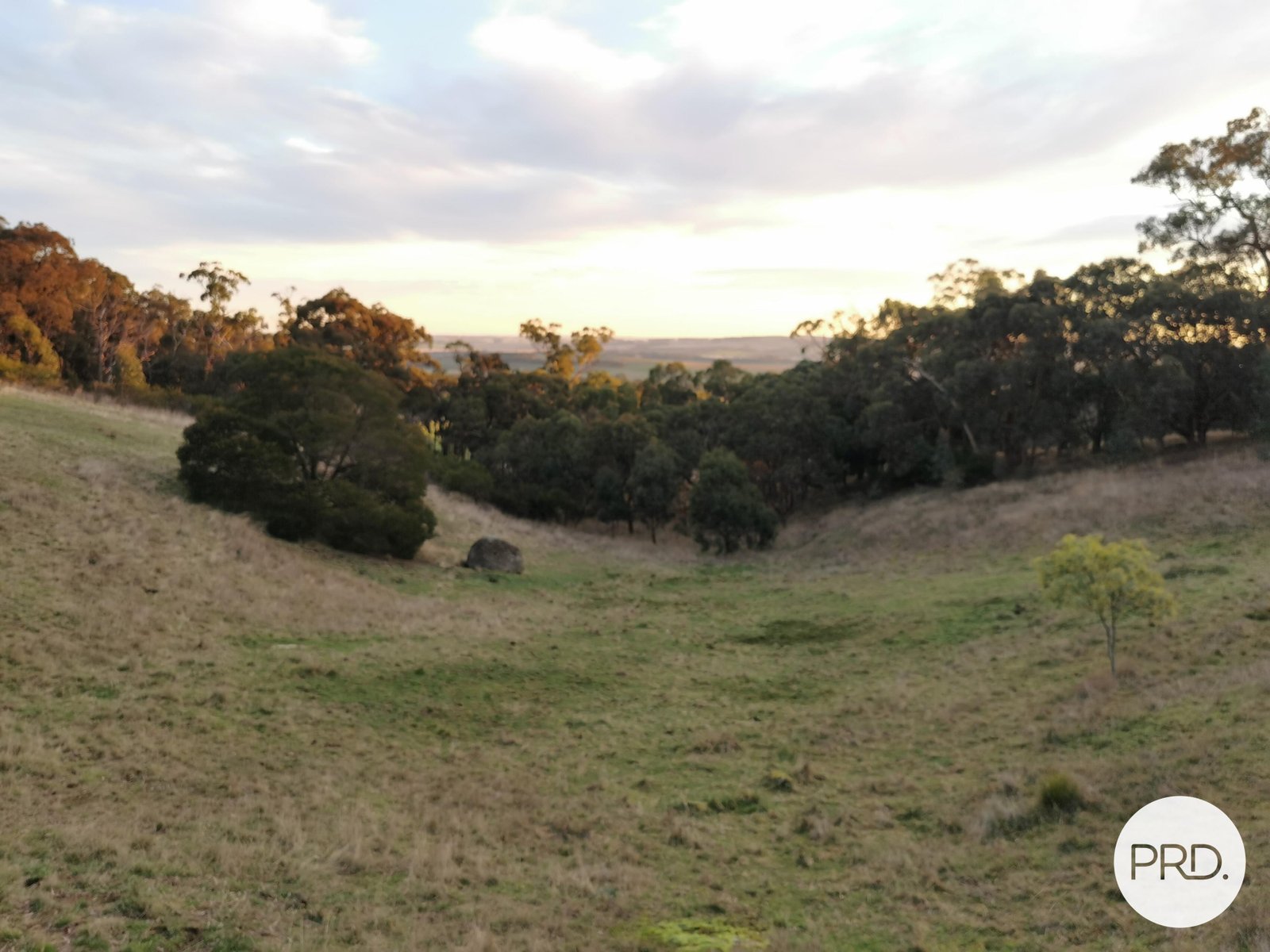 169 Flagstaff Ridge Road LINTON 2