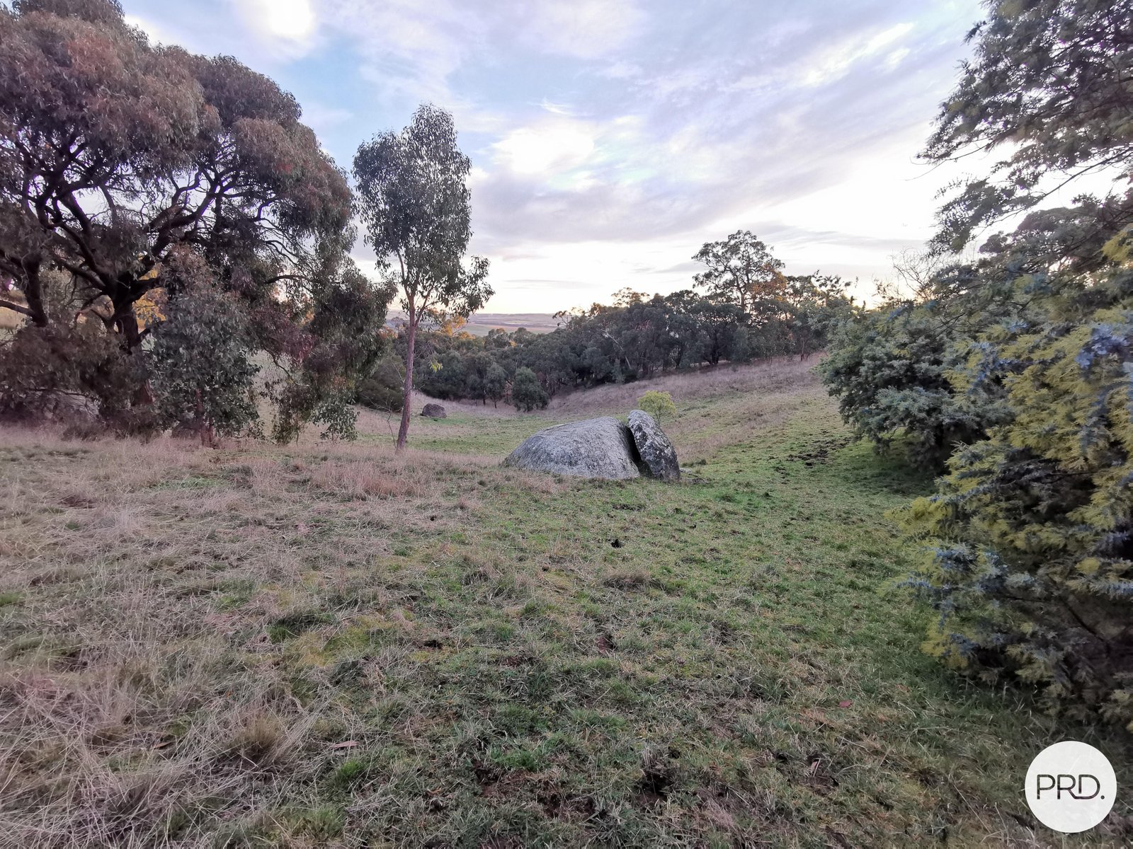 169 Flagstaff Ridge Road LINTON 3