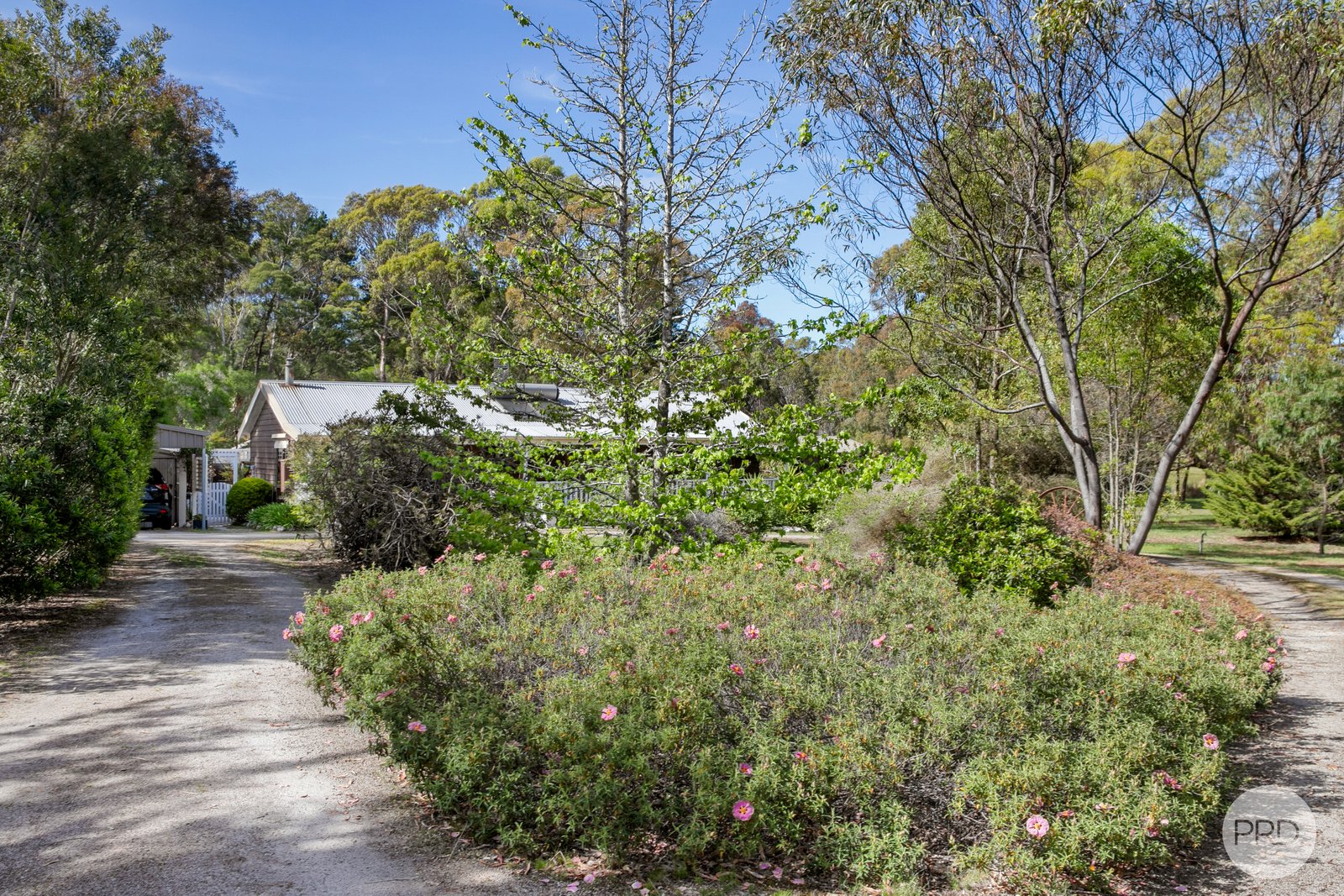 169 Rokewood Junction Road DEREEL 18