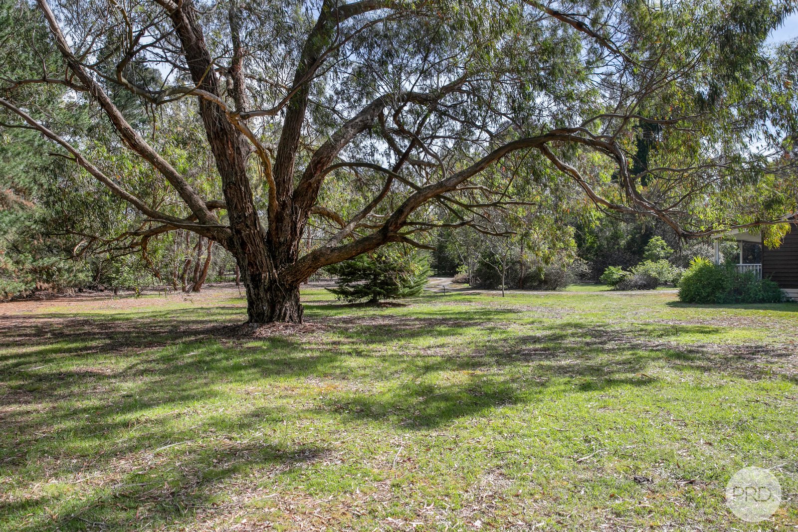 169 Rokewood Junction Road DEREEL 19