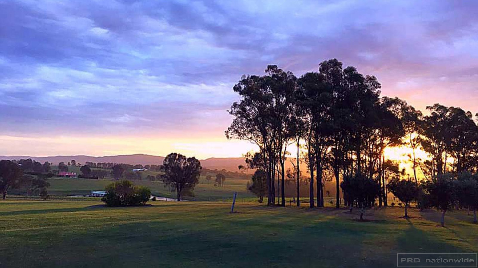 169 Talga Road LOVEDALE 1